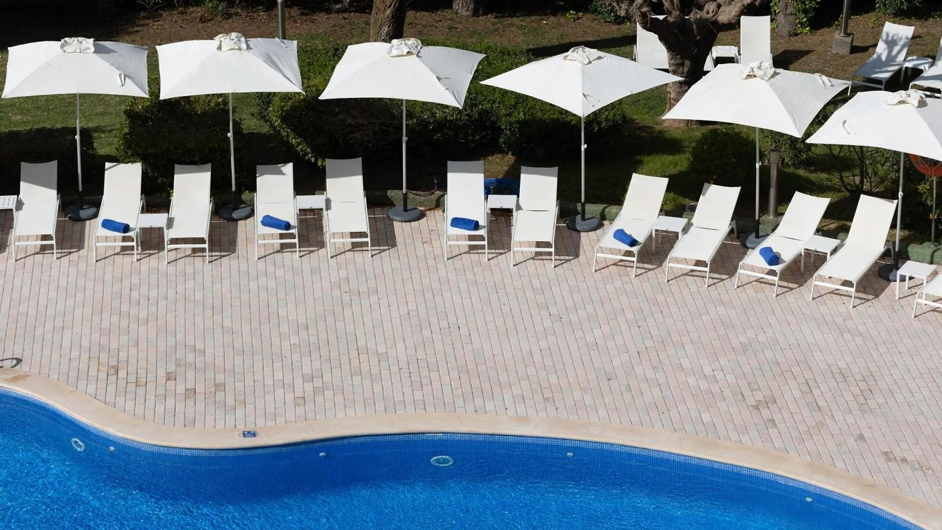 Hotel Pabisa Chico (Adults Only) Playa de Palma